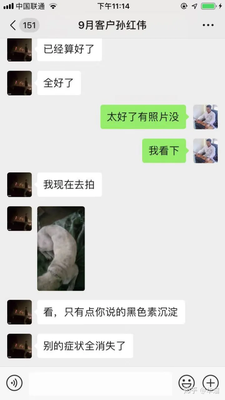 宠物常见疾病防治方法,三分钟了解宠物常见病症、