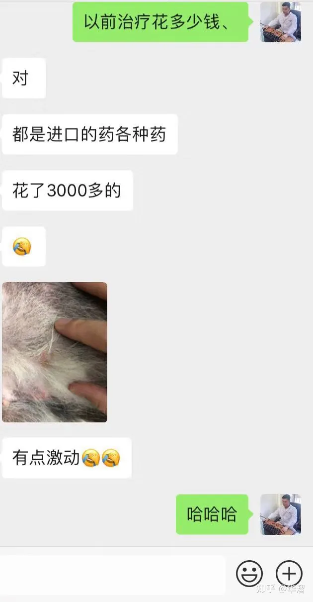 宠物常见疾病防治方法,三分钟了解宠物常见病症、
