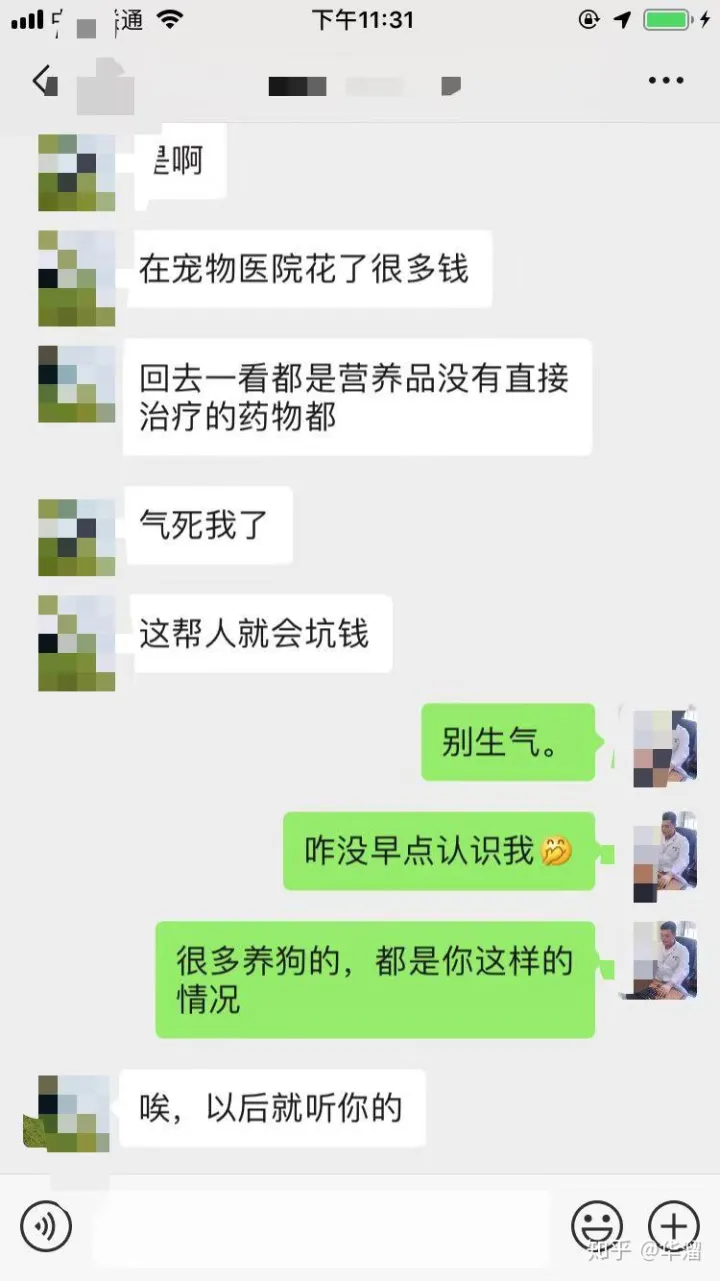 宠物常见疾病防治方法,三分钟了解宠物常见病症、