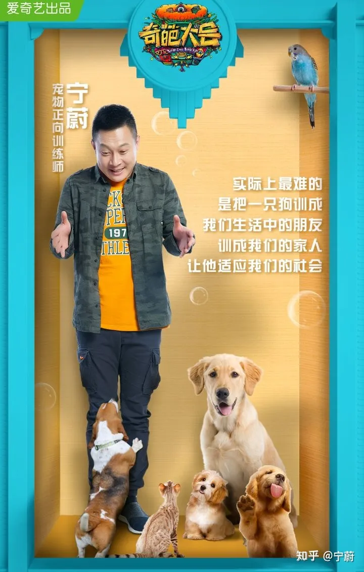 狗狗训练百科,想比较系统的学习训练狗狗,有什么书籍视频或者网站推荐吗?