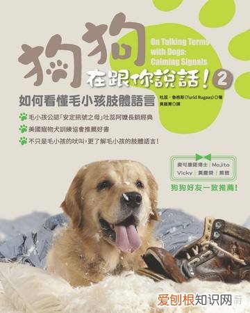 狗狗训练百科,想比较系统的学习训练狗狗,有什么书籍视频或者网站推荐吗?
