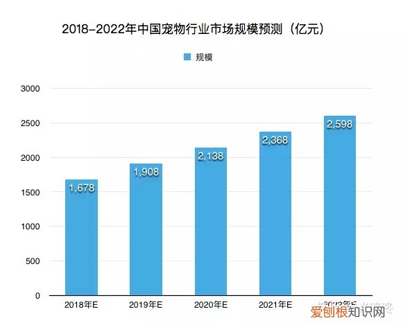 宠物行业的了解怎么写,你对宠物行业了解多少?