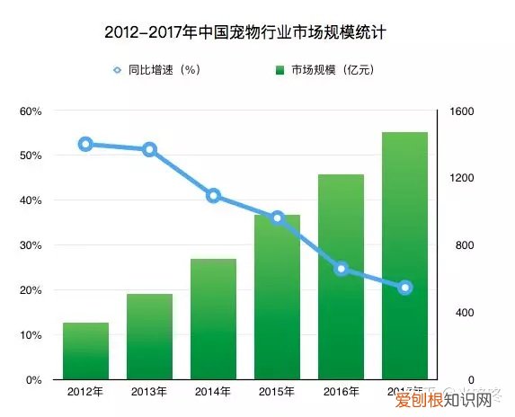 宠物行业的了解怎么写,你对宠物行业了解多少?