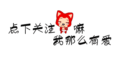 懂狗的人一眼就知道狗的好坏,狗狗知识大扫盲,你真的懂你的狗吗?