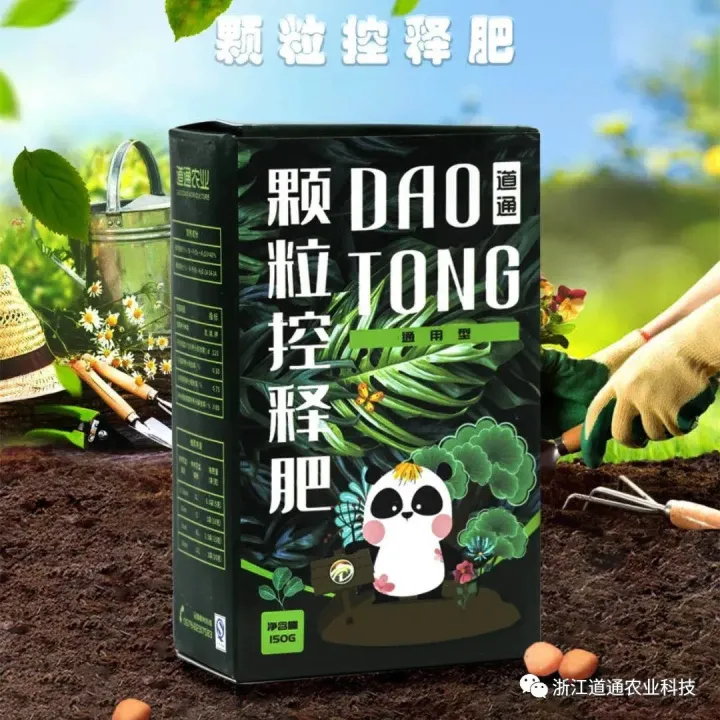 盆栽三角梅怎么养，“三角梅”这么养，包你花满枝头，盆盆爆花！