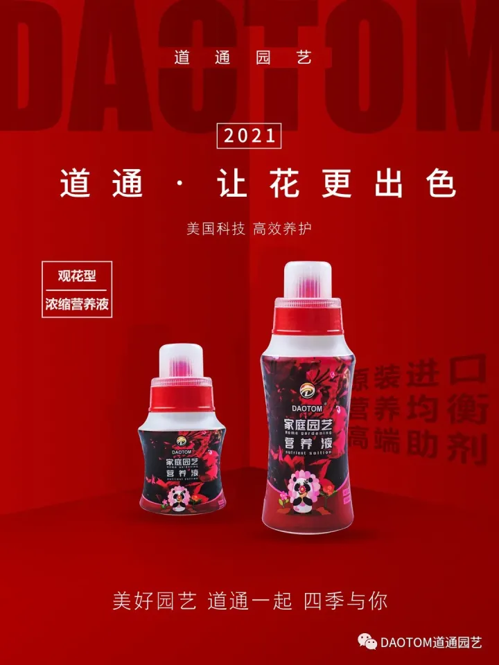 三角梅冬天换盆后可以给枝叶喷水吗，三角梅秋天养爆盆很简单，做好这几点就足够！