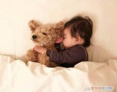 爱犬啥意思，你真的了解你的爱犬吗？——狗狗基础知识十问十答