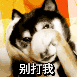 遛狗不拴绳等于狗遛狗下一句，「干货收藏」遛狗不牵绳，铲屎两行泪—知识题库