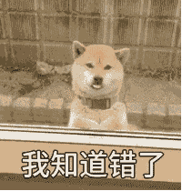 遛狗不拴绳等于狗遛狗下一句，「干货收藏」遛狗不牵绳，铲屎两行泪—知识题库