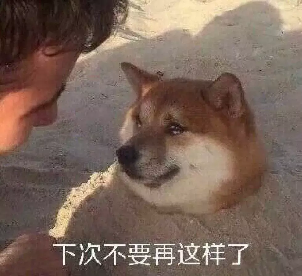 遛狗不拴绳等于狗遛狗下一句，「干货收藏」遛狗不牵绳，铲屎两行泪—知识题库