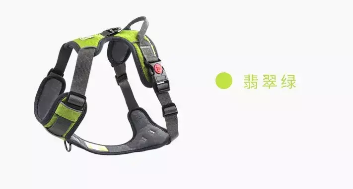 遛狗不拴绳等于狗遛狗下一句，「干货收藏」遛狗不牵绳，铲屎两行泪—知识题库