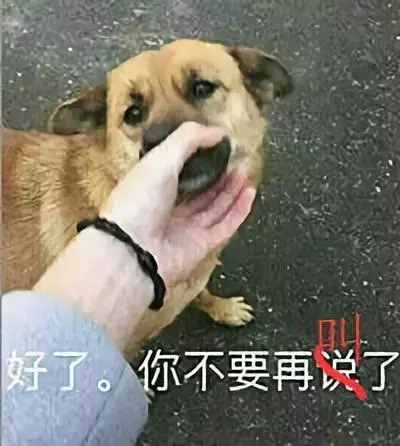 遛狗不拴绳等于狗遛狗下一句，「干货收藏」遛狗不牵绳，铲屎两行泪—知识题库