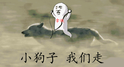 遛狗不拴绳等于狗遛狗下一句，「干货收藏」遛狗不牵绳，铲屎两行泪—知识题库