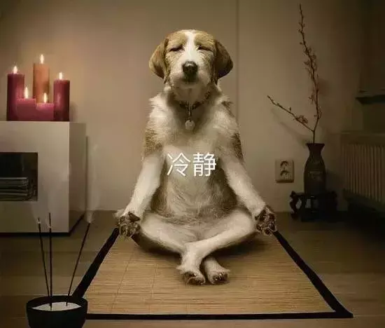 遛狗不拴绳等于狗遛狗下一句，「干货收藏」遛狗不牵绳，铲屎两行泪—知识题库