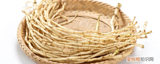 鱼腥草不能和什么一起吃? 鱼腥草禁忌什么一起吃