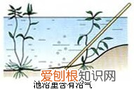 化学第12单元知识点，中考化学——第十二单元化学与生活基本知识与方法