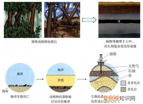 化学第12单元知识点，中考化学——第十二单元化学与生活基本知识与方法
