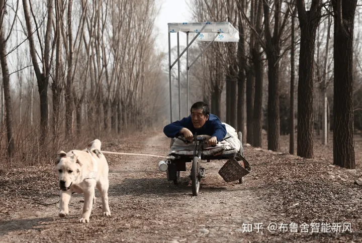 这些关于宠物的电影,你看哭了几部电影英语，这些关于宠物的电影，你看哭了几部？