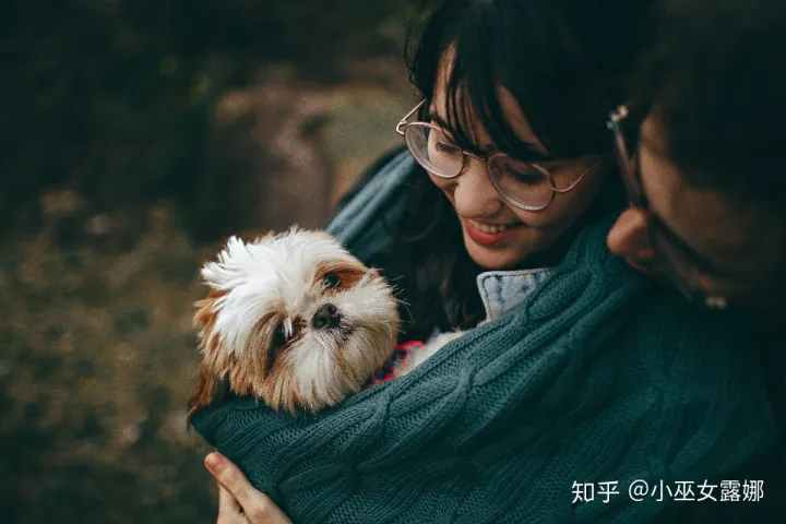 i’m a cat person，I am a cat person. 动物相关的俚语也许能为你的口语加分