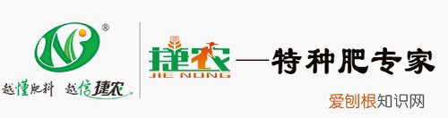 三角梅的栽培方法和栽培技术要点是什么,三角梅的栽培方法和栽培技术要点