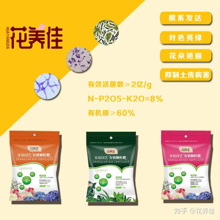三角梅有什么其他特点，要想养好三角梅，就得了解它的习性及特征