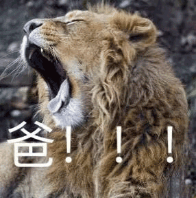 怎样培养孩子主见能力,如何培养孩子的主见性?