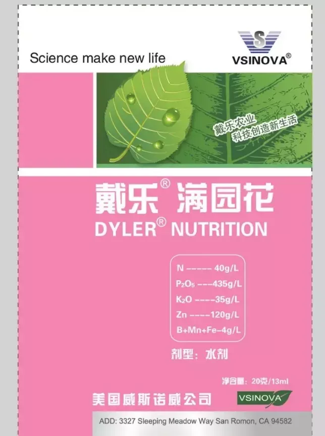 三角梅只开花不长叶子怎么办图片，用“这方法”养三角梅，花多到看不见叶子，花期长达200天！