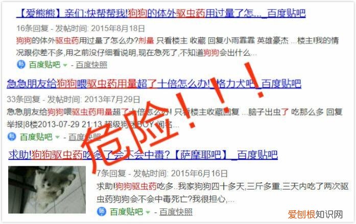 宠物饲养考试题，宠物知识“四六级”考卷，你敢来和新员工小王一决高下吗？