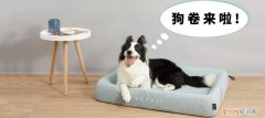 适不适合养狗测试视频，养狗必考 | 20个问题测测你是“合格”的主人吗？