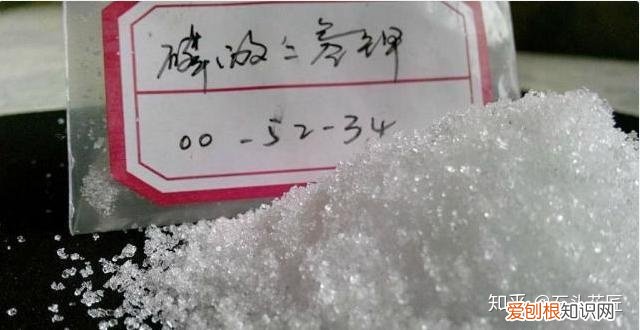 三角梅开花没有叶子是怎么回事，三角梅1朵都不开，叶子嗖嗖冒？赶紧用3招，15天就开花
