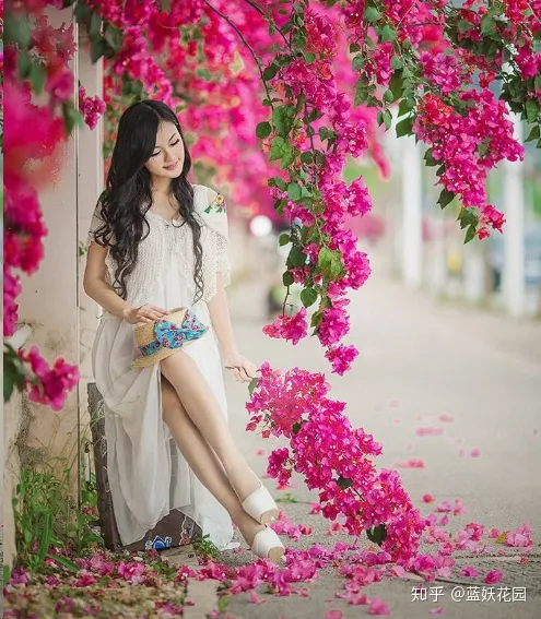 三角梅什么时候开花,一年开几次花,三角梅一年只开一次花?这样做,可让你的三角梅一年四季循环开花!