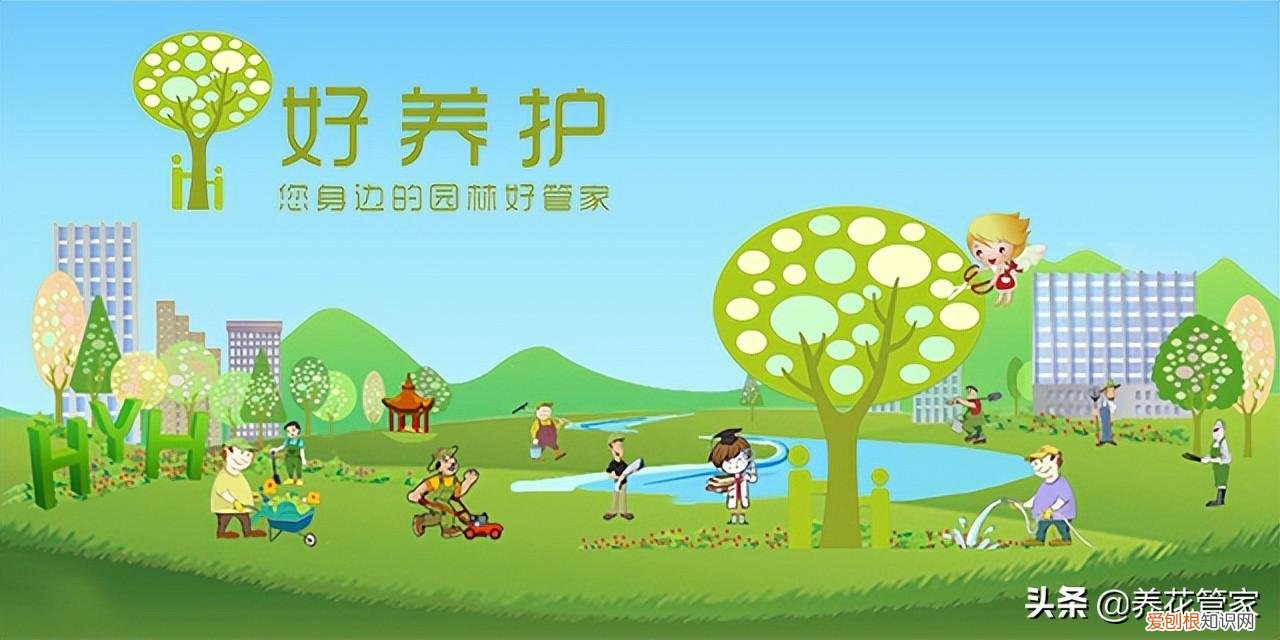 多肉植物应该怎么养呢，如何养出萌萌哒的多肉？多肉植物养护五个要点，一个不能少