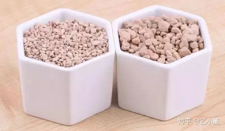 种多肉的颗粒土可以种花吗，多肉植物怎么养？了解这7种培养颗粒土，助你迅速进阶！