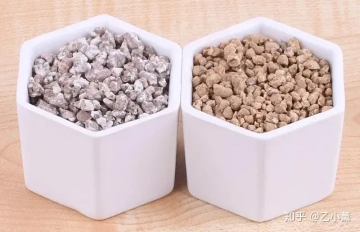 种多肉的颗粒土可以种花吗，多肉植物怎么养？了解这7种培养颗粒土，助你迅速进阶！