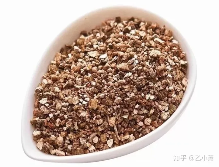 种多肉的颗粒土可以种花吗，多肉植物怎么养？了解这7种培养颗粒土，助你迅速进阶！