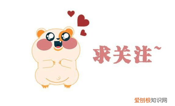 狗狗都会什么技能，厉害了，我的狗！没想到狗狗也会这么多“技能”