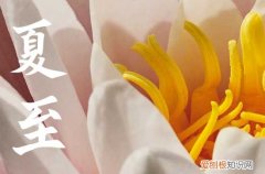 2023年夏至是三伏天么 夏至是入伏的第一天吗为什么