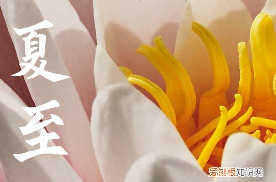 2023年夏至是三伏天么 夏至是入伏的第一天吗为什么