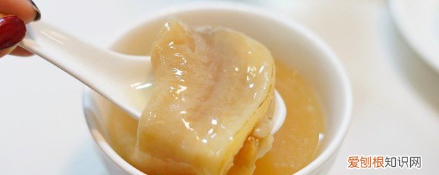 鱼胶功效与作用及营养 鱼胶有什么营养和功效