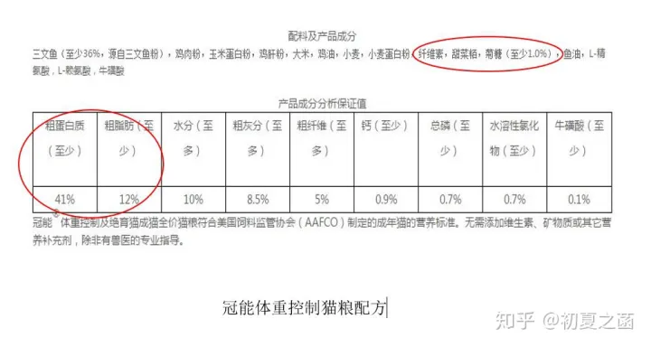 怎么训练狗和猫相处，你是如何发挥自己擅长的专业技能，让猫猫和狗狗的生活更有质量的？