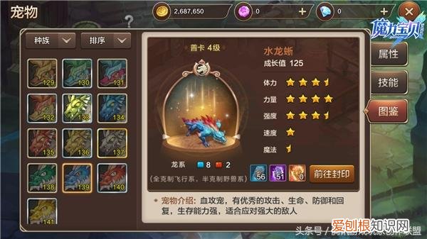 如何学会宠物的技能，我的宠物要学什么技能