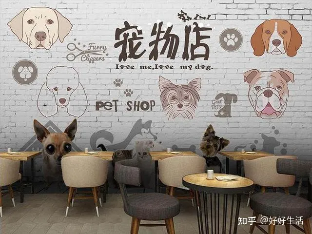 狗应该训练哪些常用技能，可以训练狗狗哪些有用的技能？