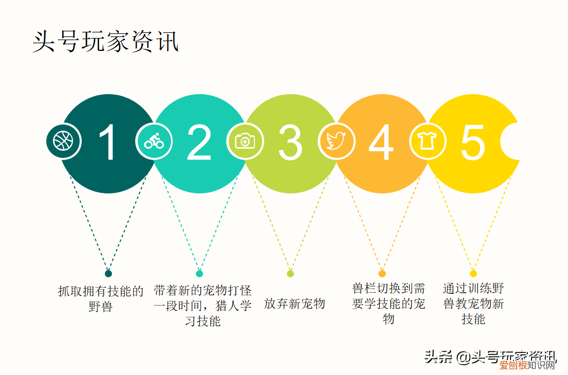 怀旧服猎人练级带什么宠物，头号攻略：魔兽世界怀旧服猎人宠物的训练点怎么获得？新人篇