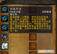 怀旧服猎人练级带什么宠物，头号攻略：魔兽世界怀旧服猎人宠物的训练点怎么获得？新人篇