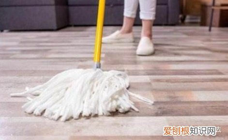 养狗必备小知识，新手养狗准备｜养狗必看的13条常识