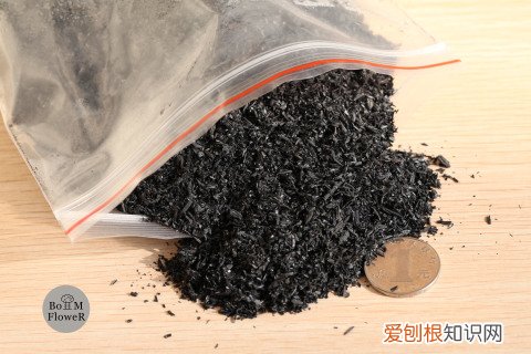 园艺入门植物，【合集】值得收藏的园艺基础大全