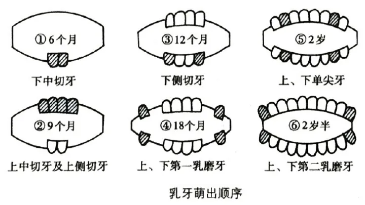 一岁的宝宝应该怎样喂养，一岁内的宝宝该如何喂养