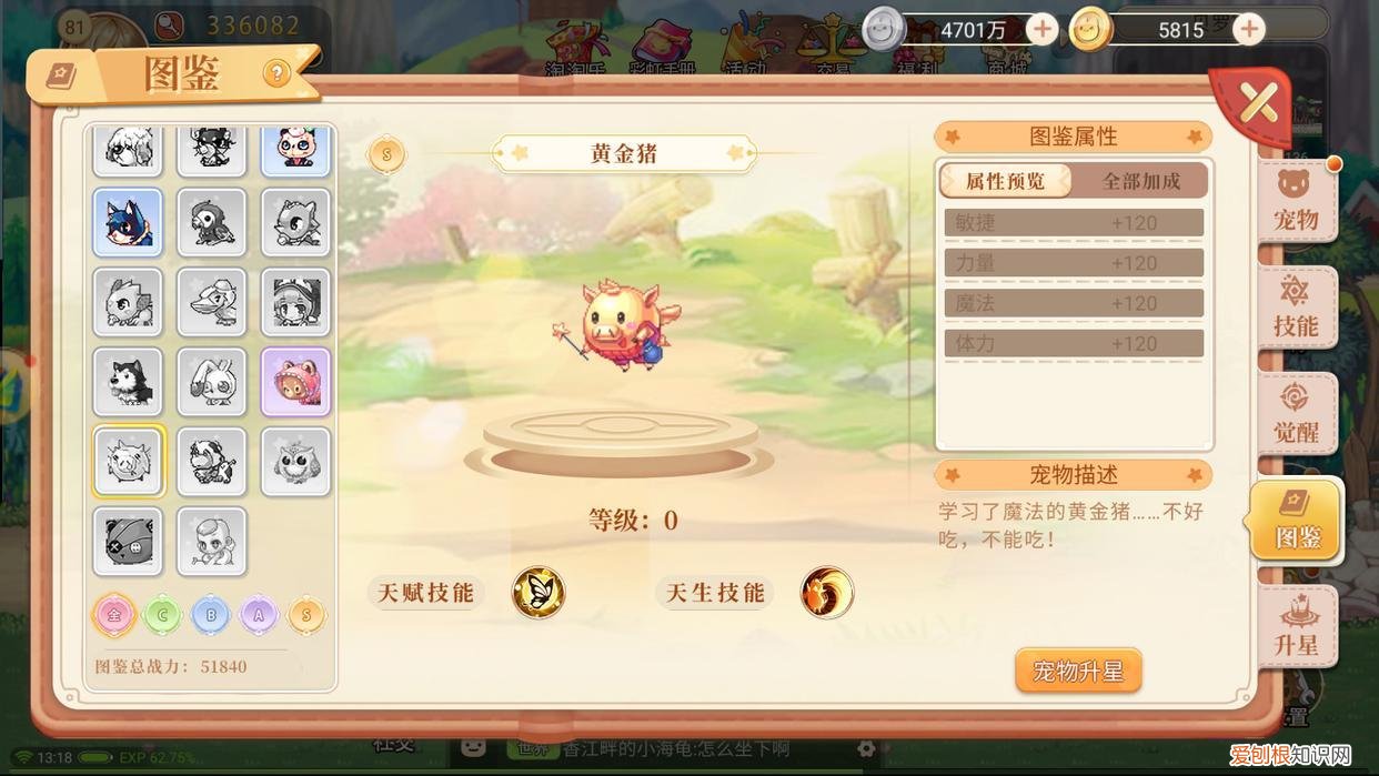 永恒之塔宠物精灵怎么升级，永恒岛宠物技能觉醒经验分享