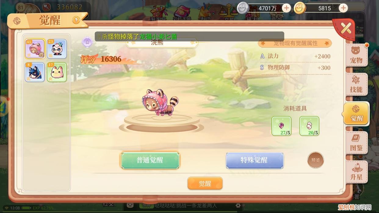 永恒之塔宠物精灵怎么升级，永恒岛宠物技能觉醒经验分享