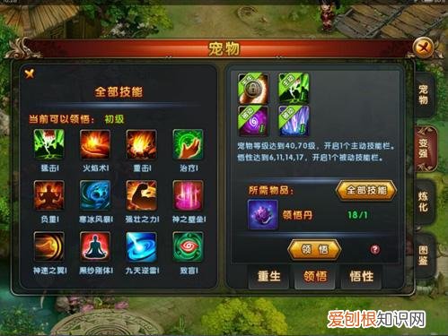 梦幻宠物领悟技能概率，宠物技能领悟攻略 宠物技能怎么学习